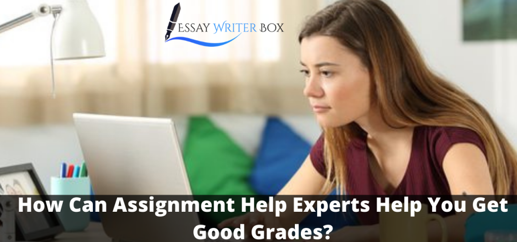 How Can Assignment Help Experts