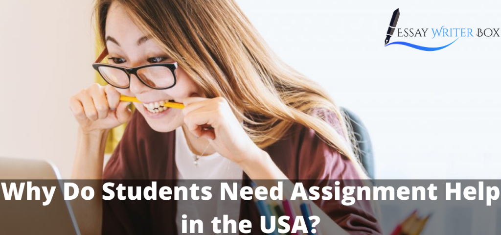 Why Do Students Need Assignment Help